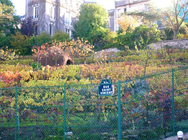 Fête des Vendanges de Montmartre - Mairie du 18ᵉ